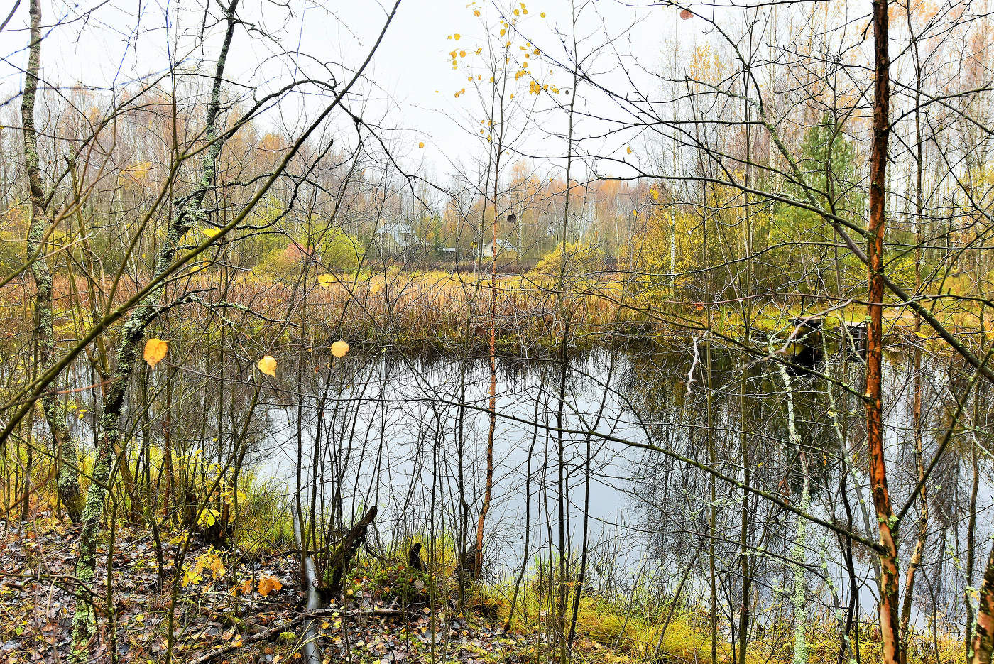 "Осенний, серый день. Не слышно ветерка ..."