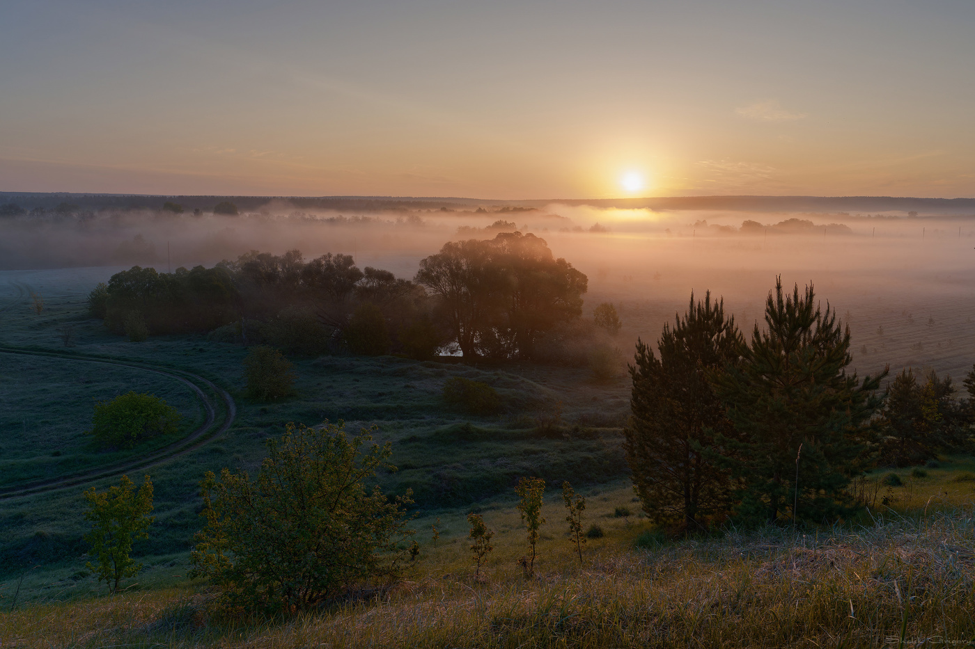 Оранжевый туман