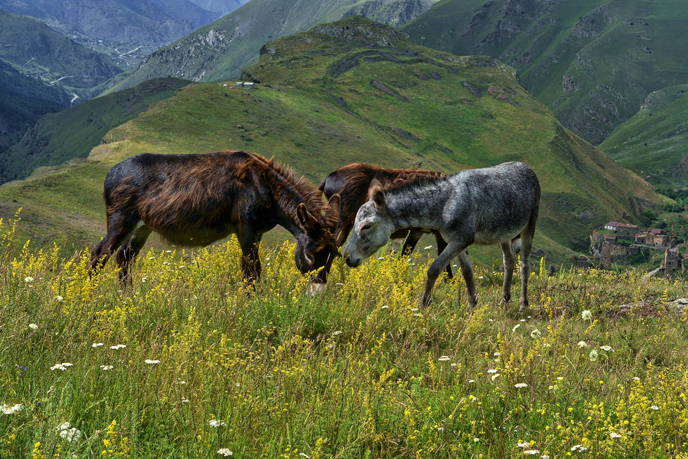 "На троих собразим?"