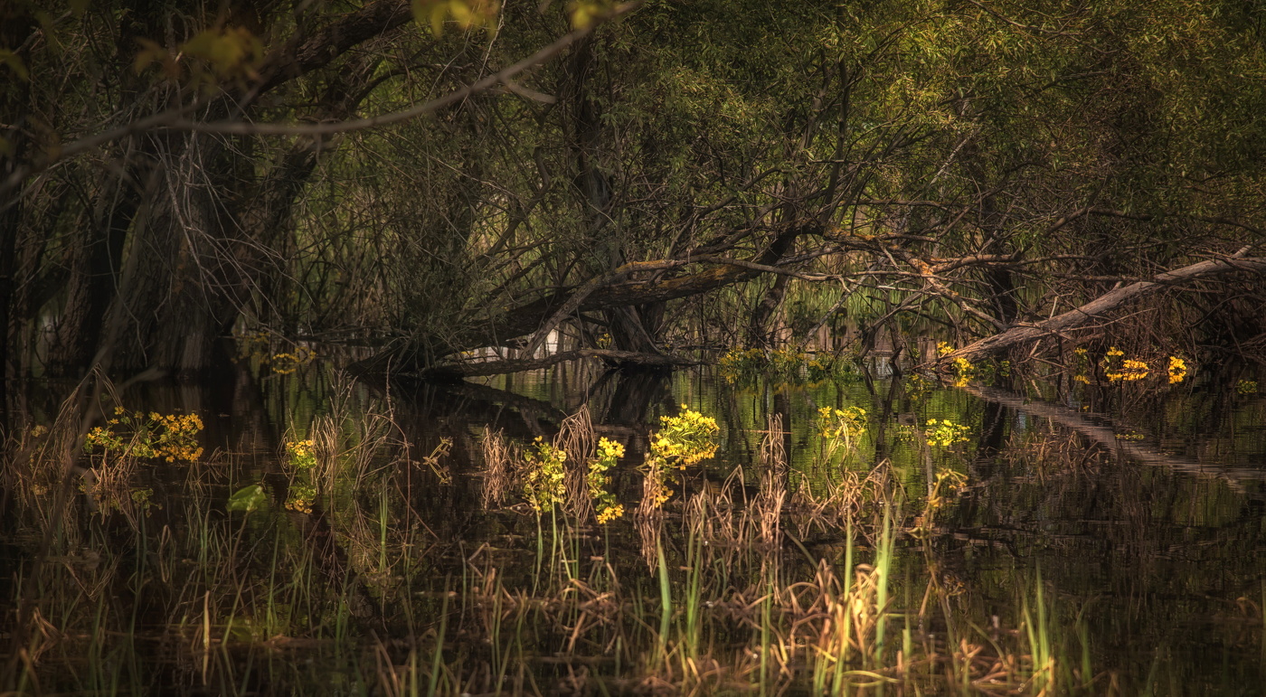 Половодье 2