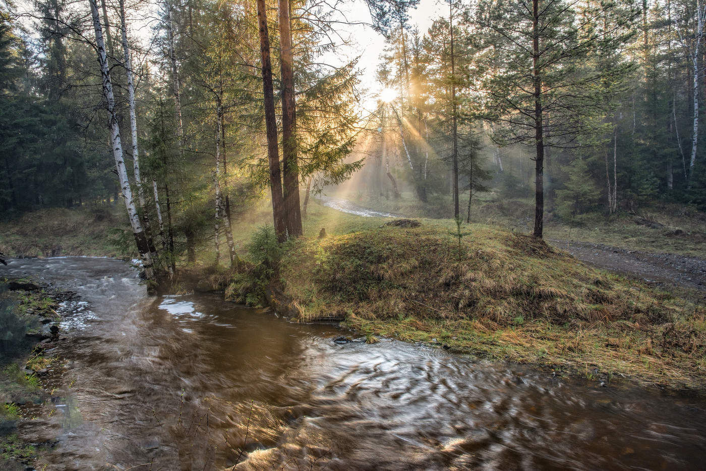 Вечерние лучи