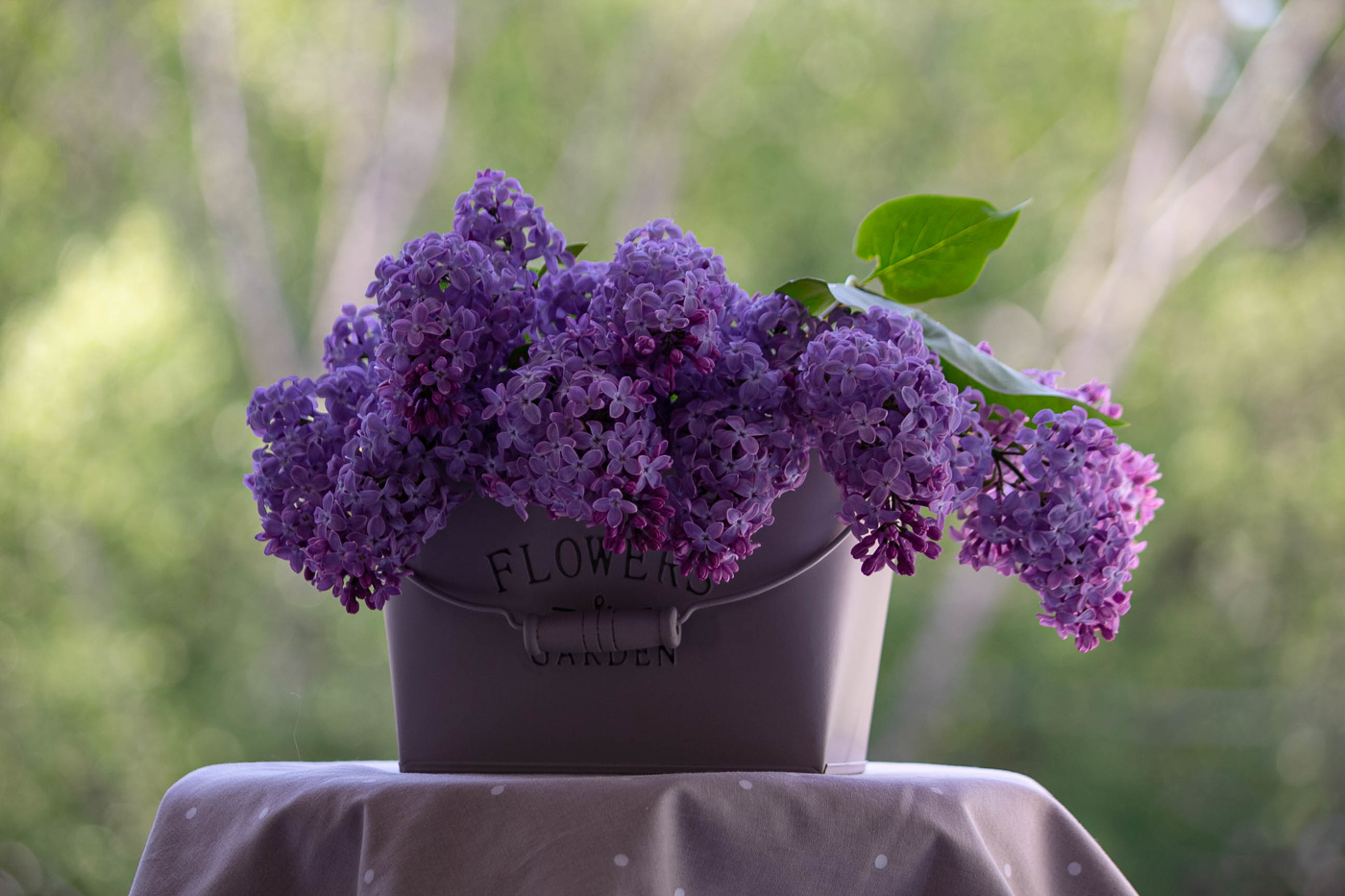 Время сирени