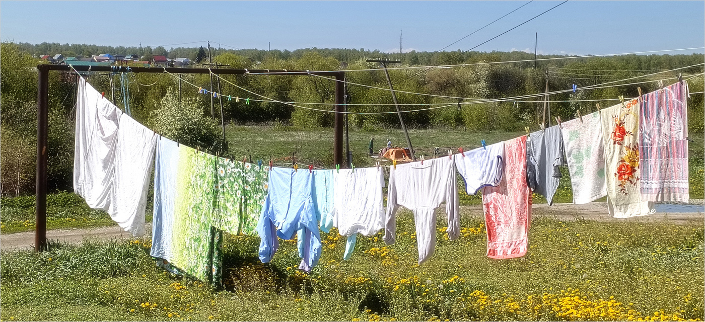 Весеннее разноцветье