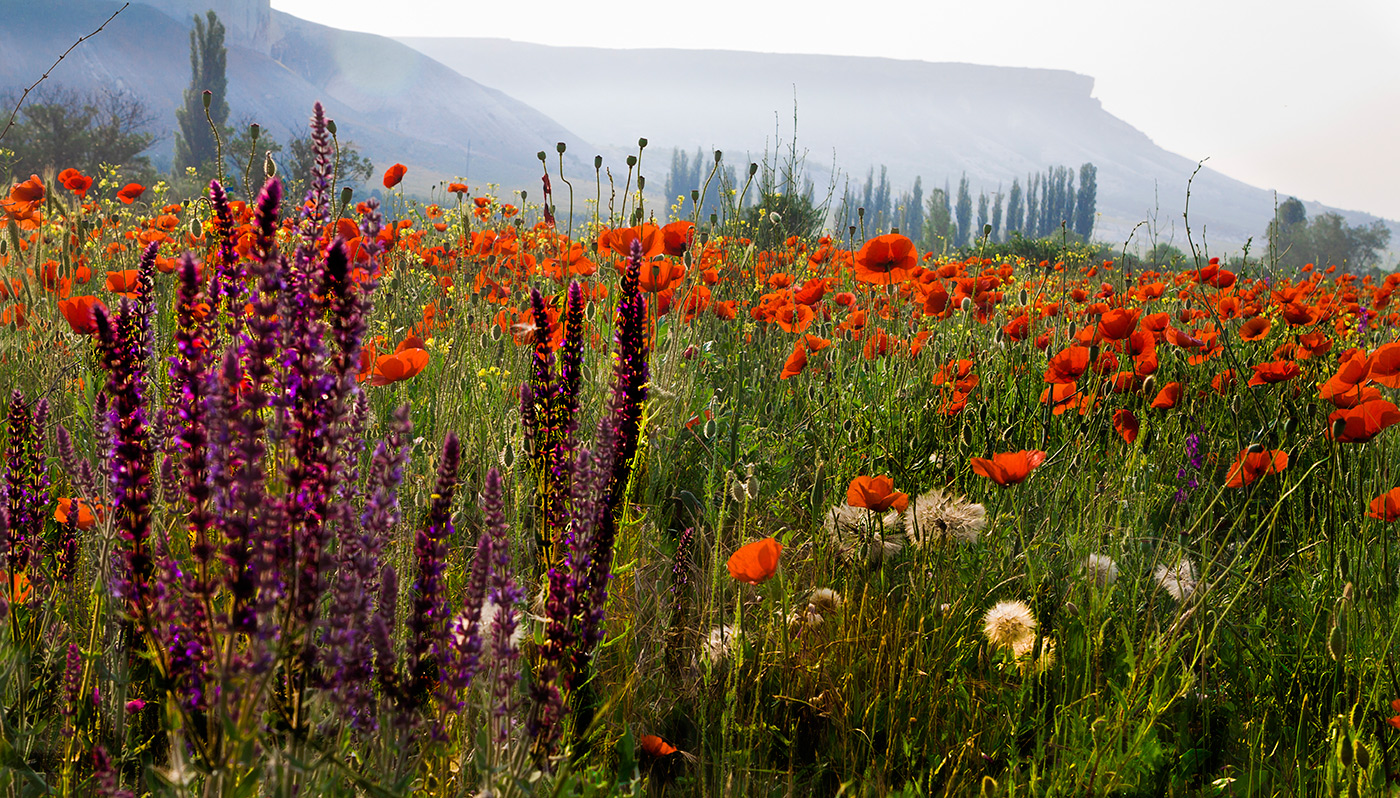 Утро раннее