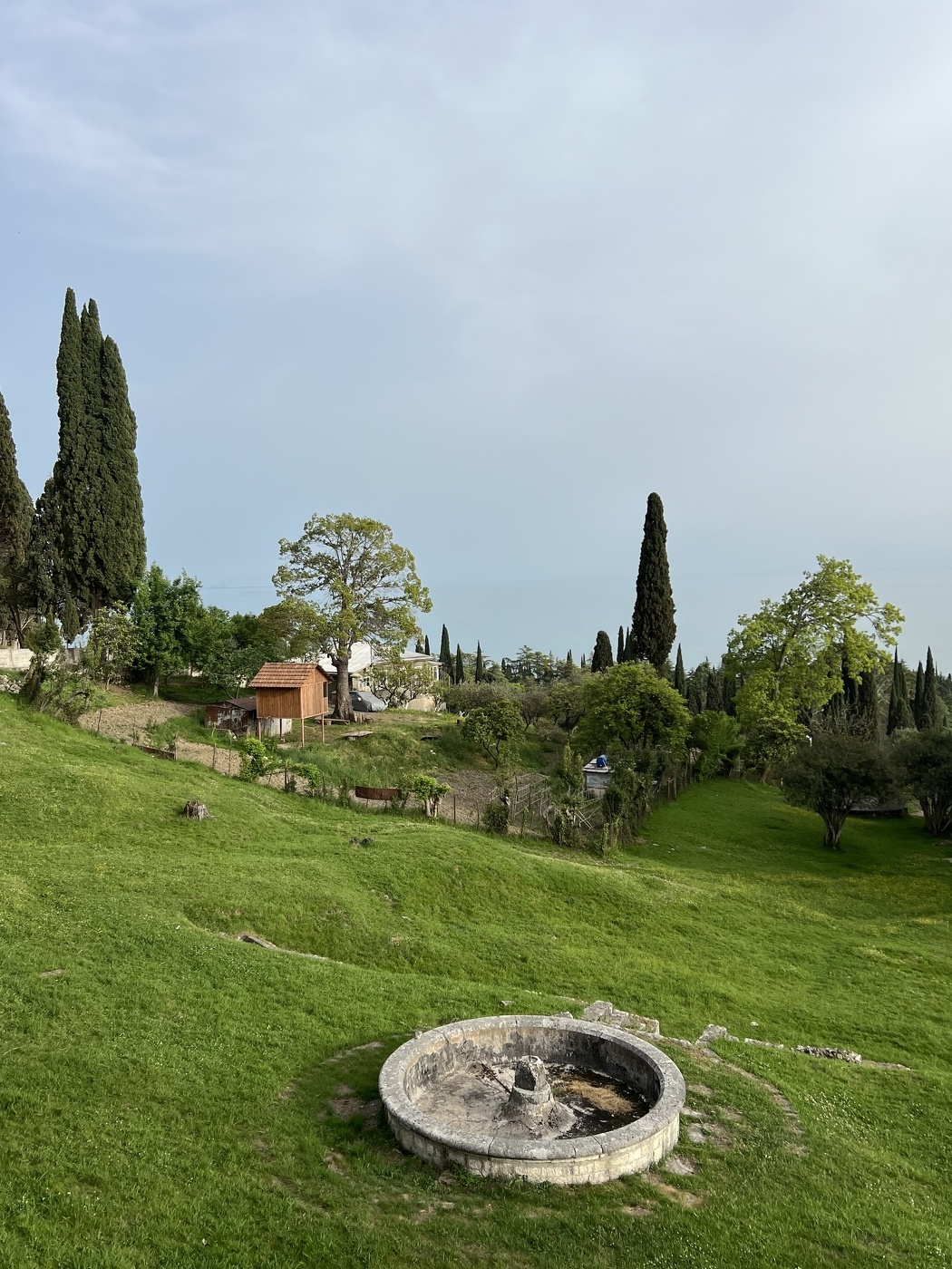 Абхазский пейзаж