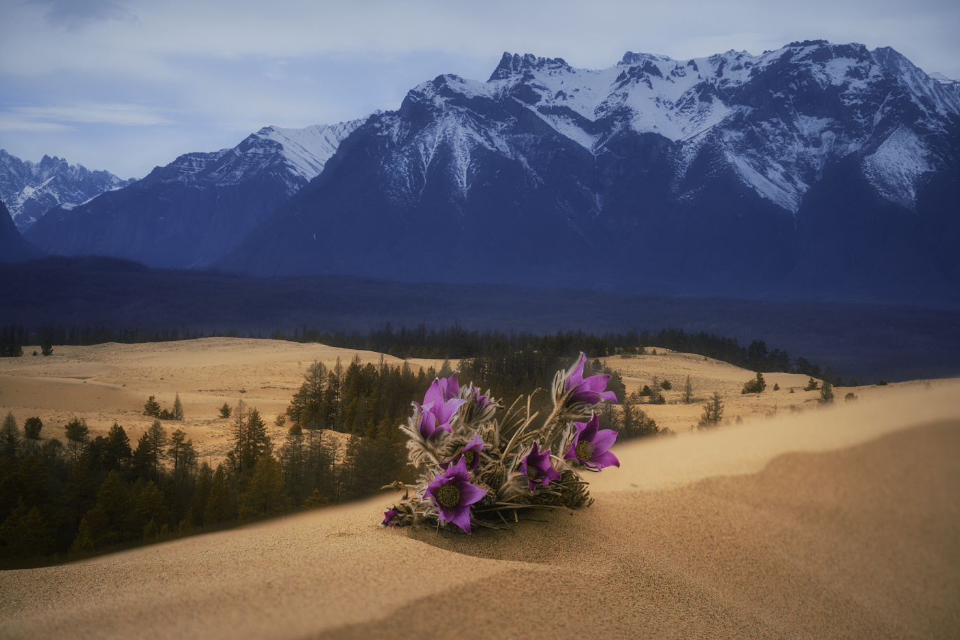 Выживший, или Царь горы ч.2