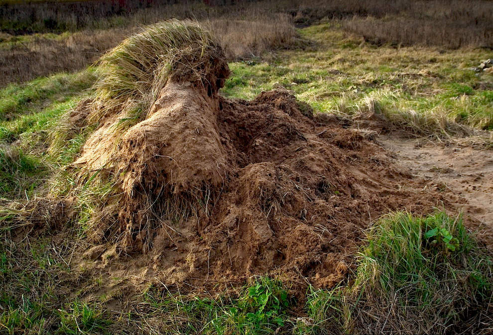 Вождь краснокожих в д.Кажлейка.