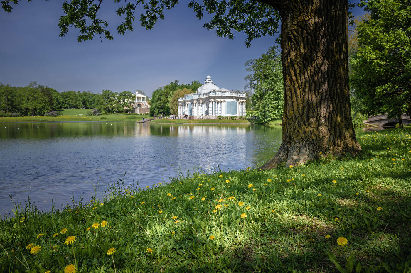 В Екатерининском парке.