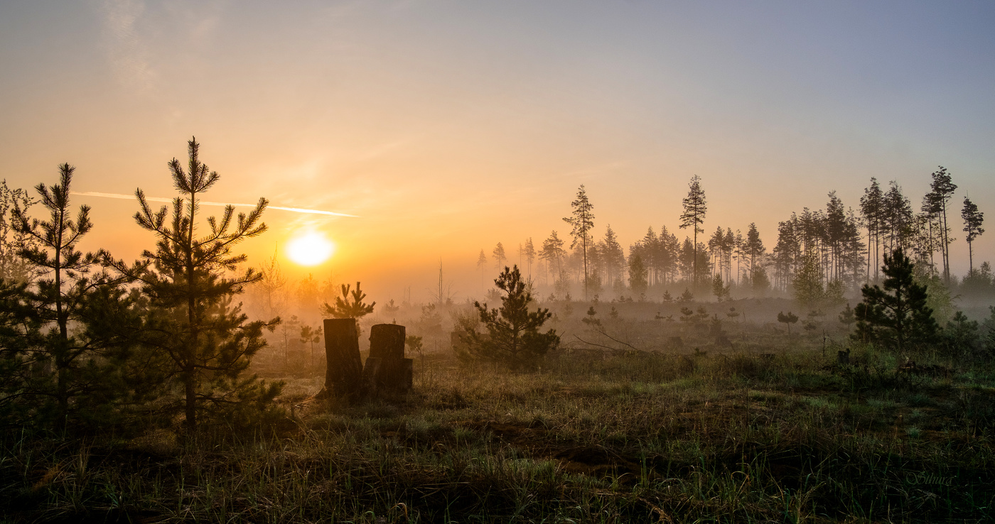 Рассвет. Весна.