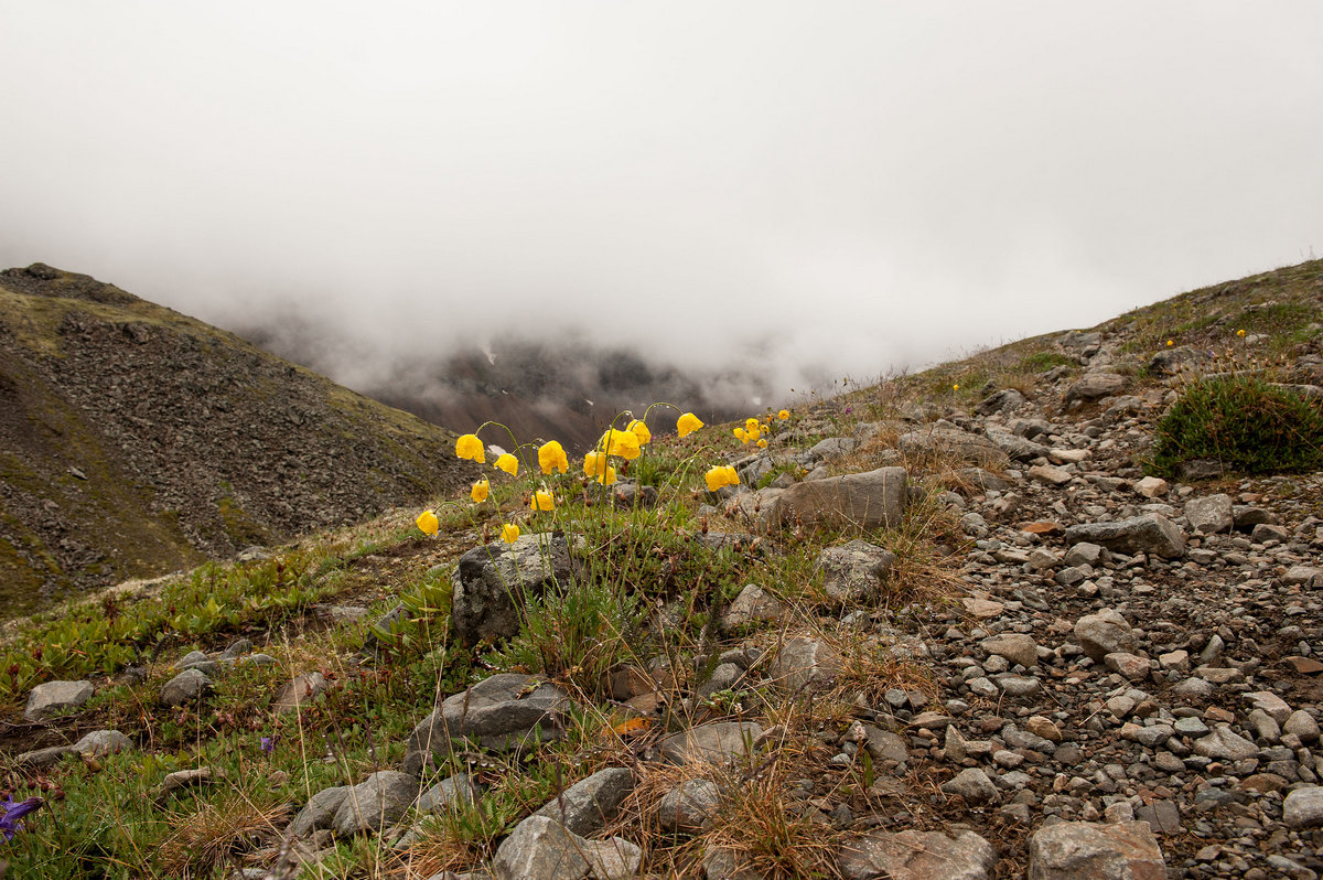 Дождь и туман в ущелье Шумак.