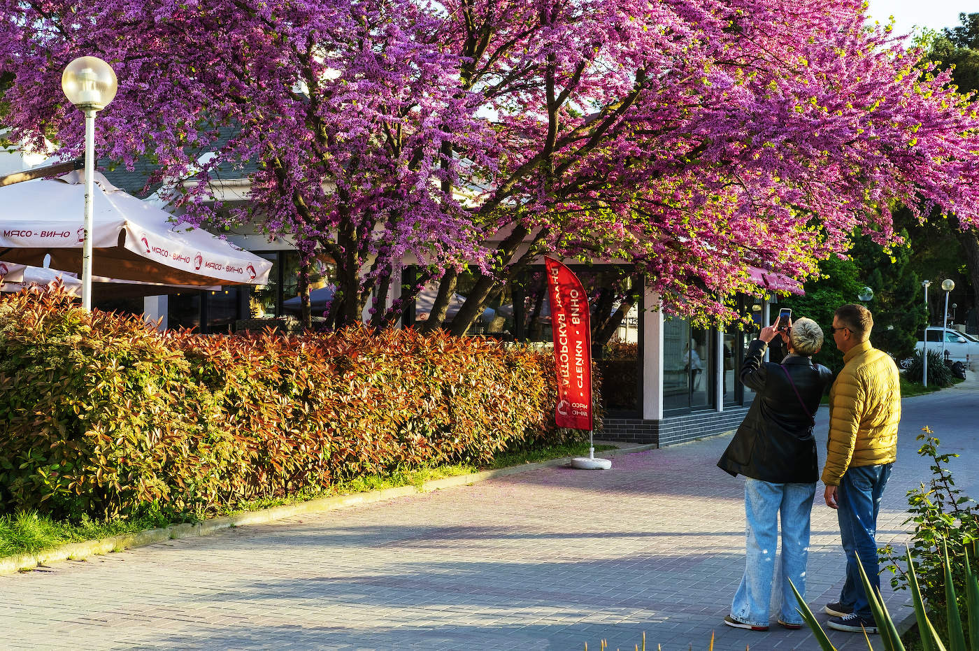 Фото на память