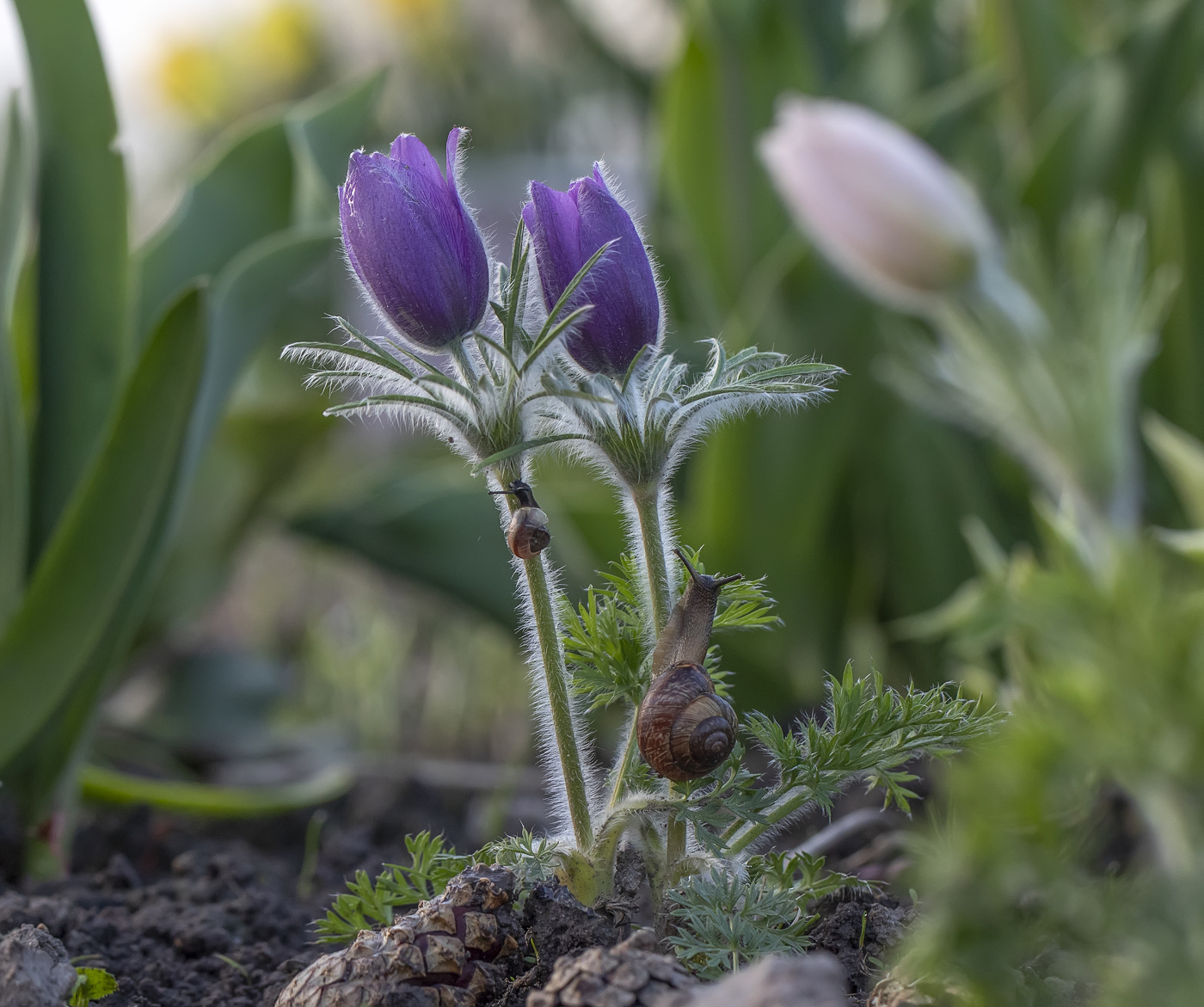 Догонялки:)