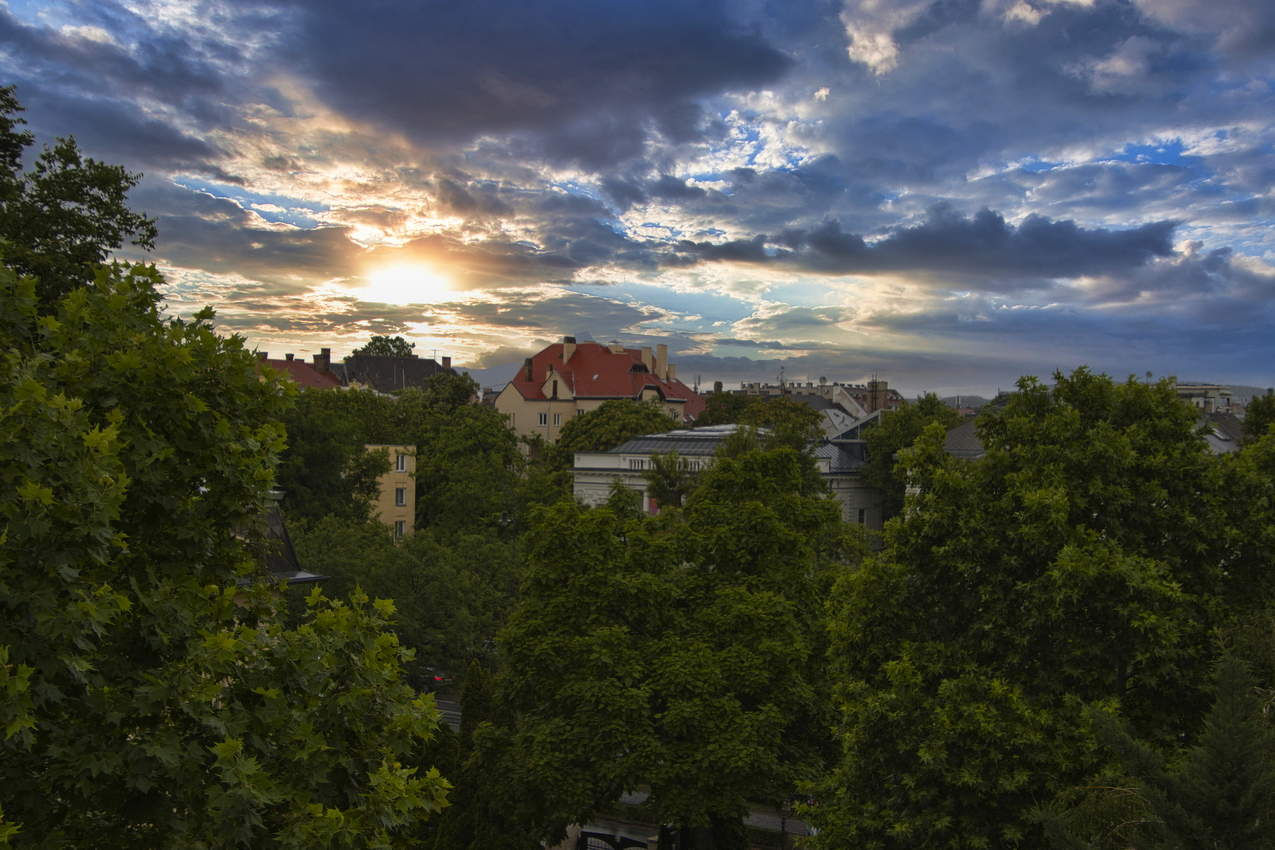 Тихий вечер