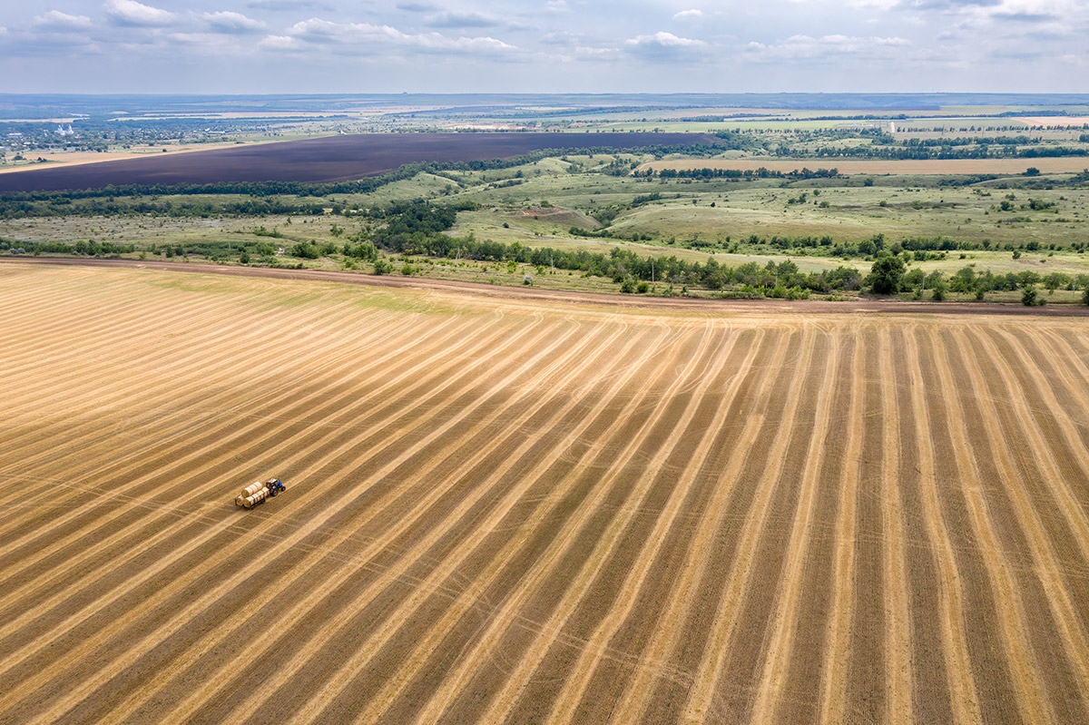 Последние рулоны