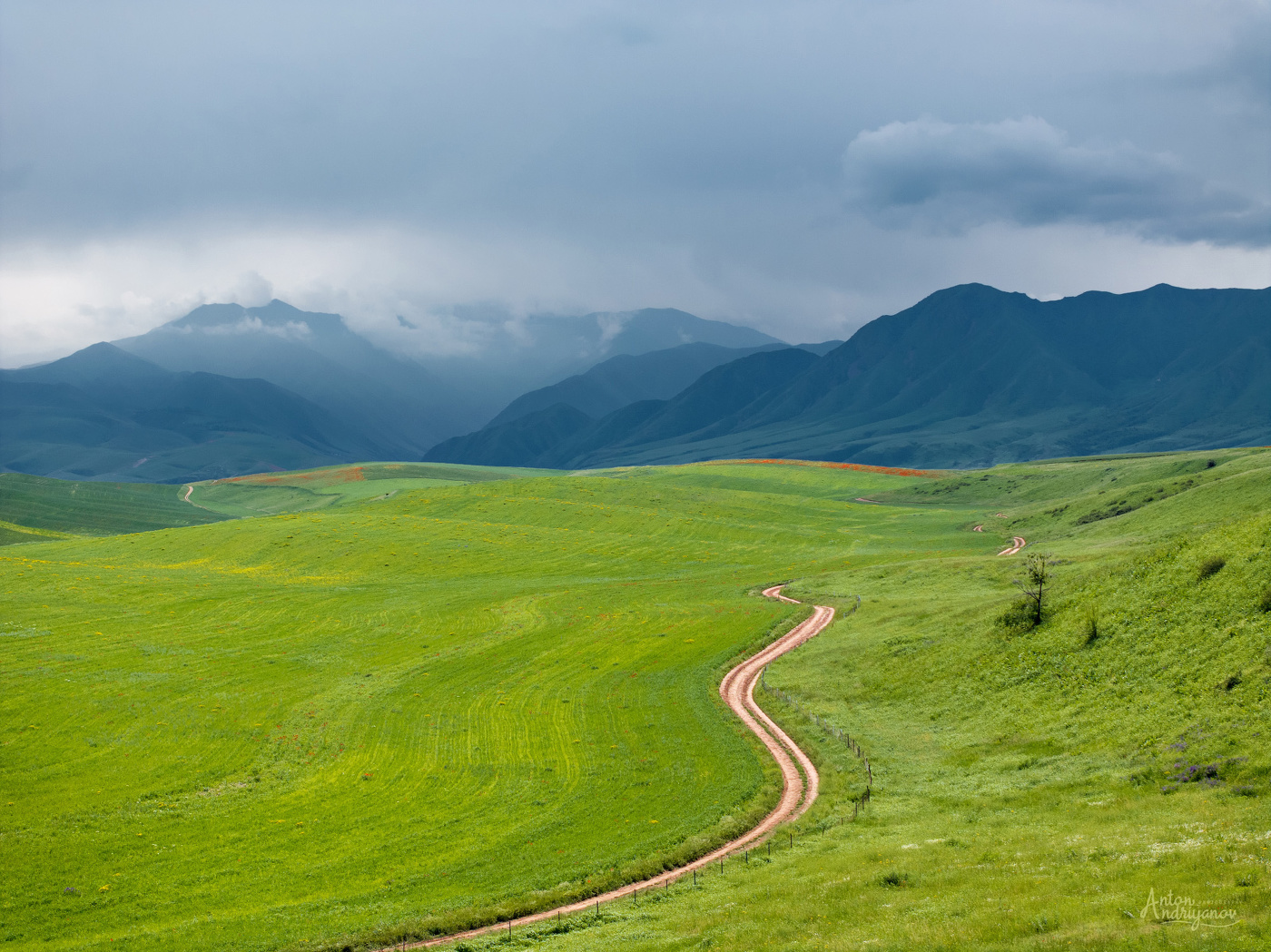 Дождь в горах