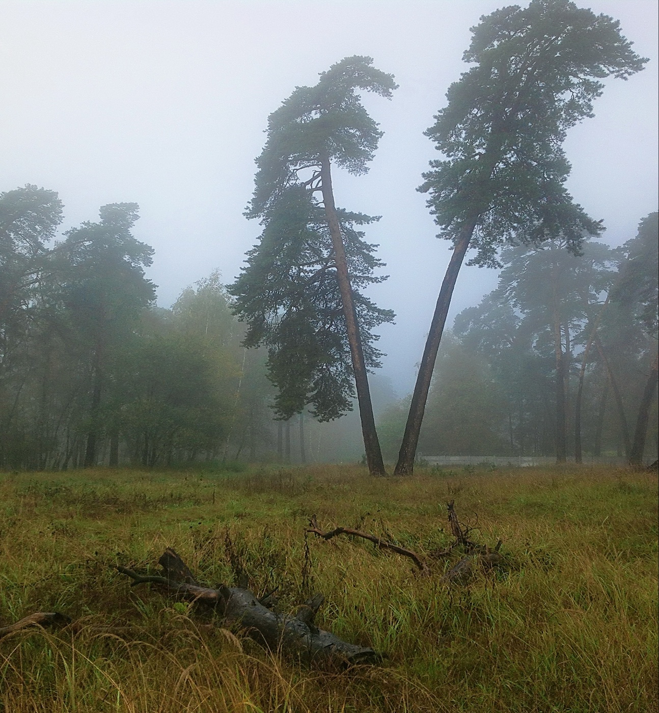 Разошлись, или не пара.