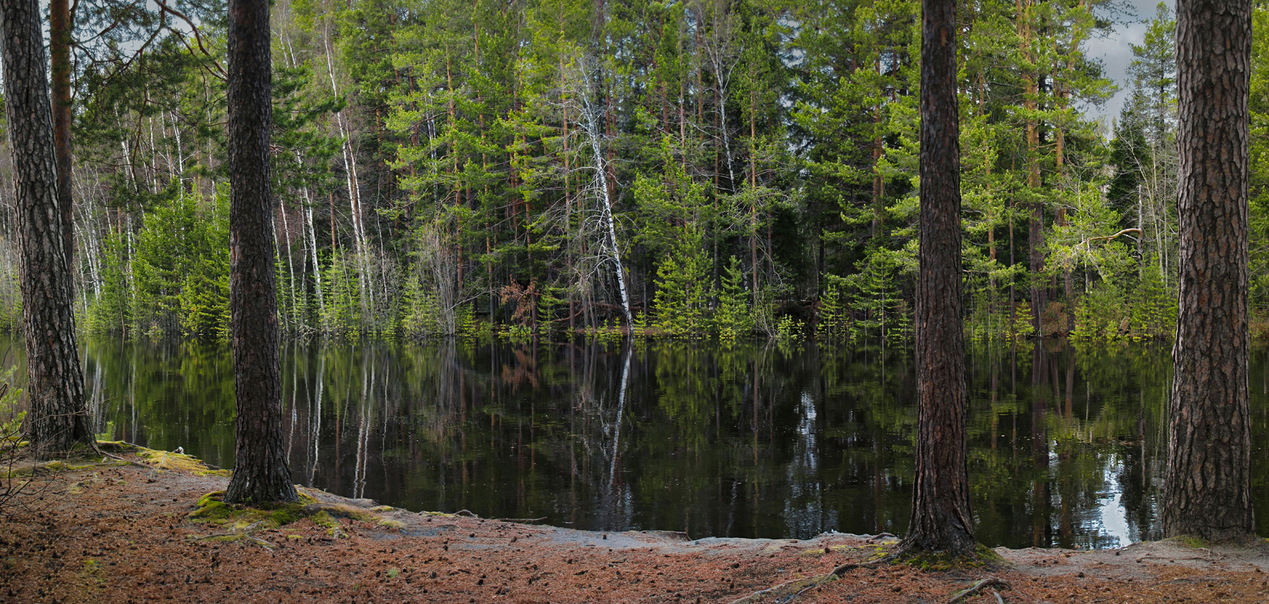 Вода по-прежнему всё прибывает...