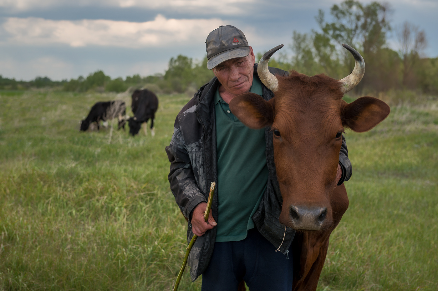 Портрет пастуха...