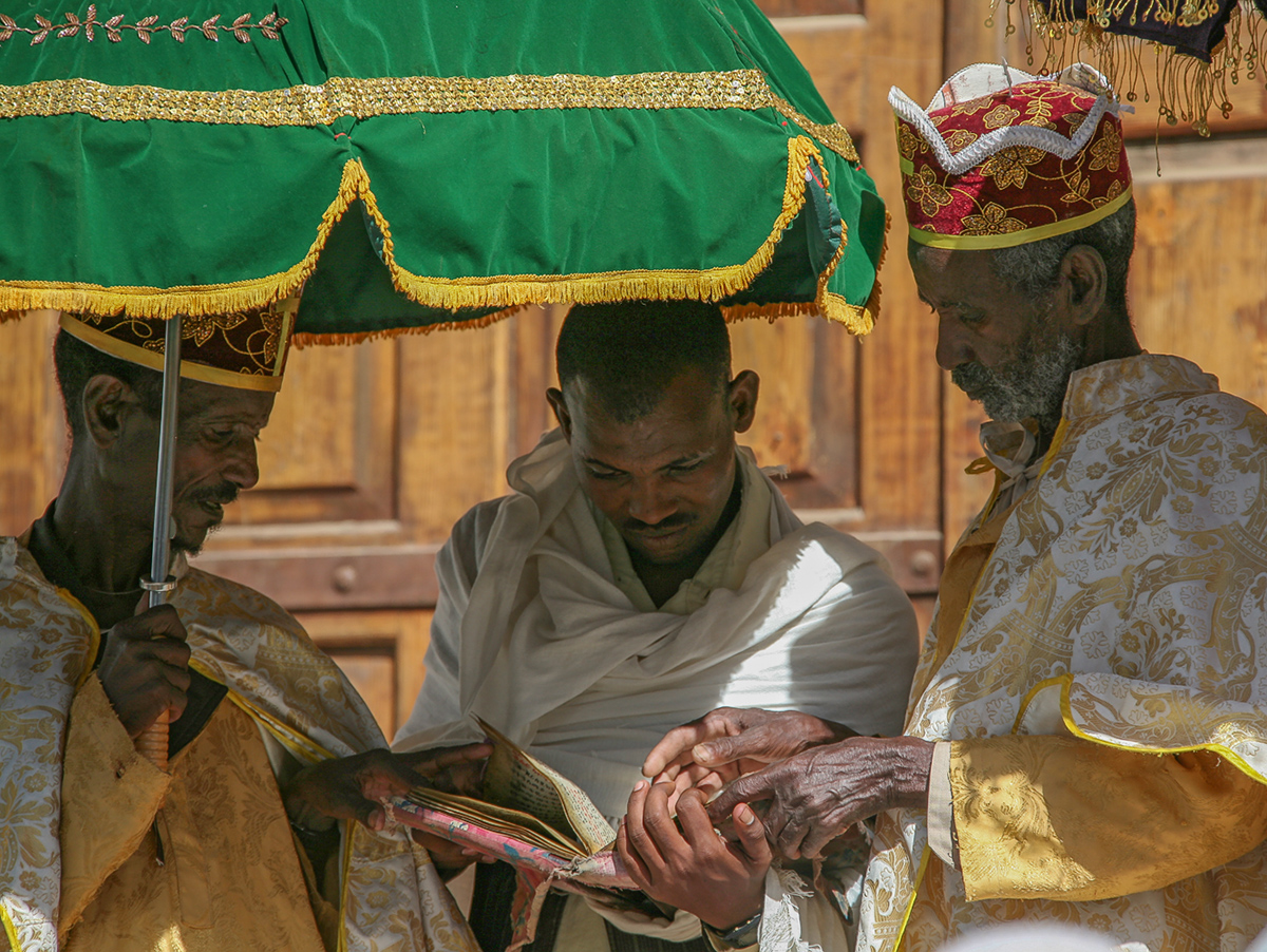 Смотрят в книгу, а ...