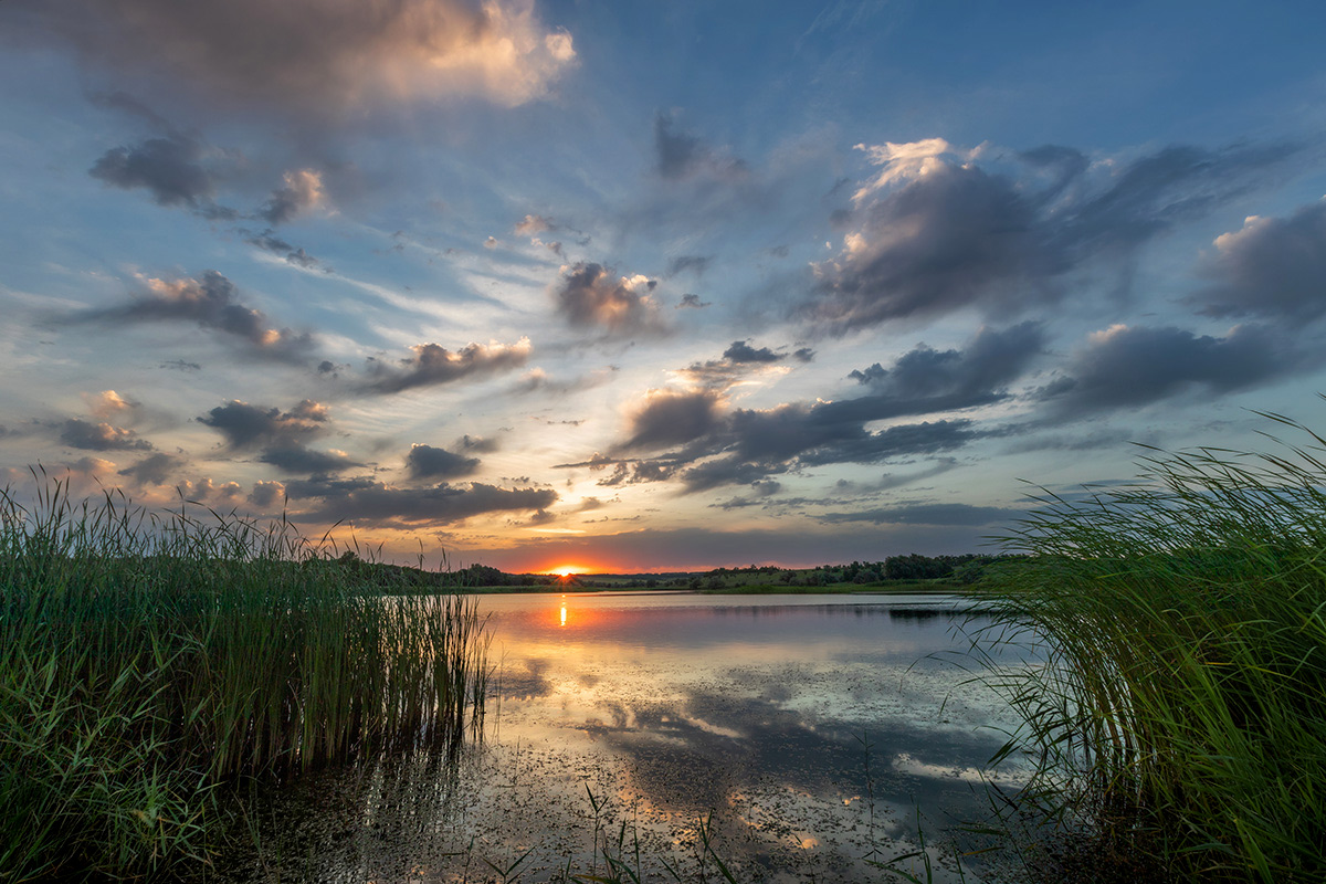 Тихий вечер у пруда