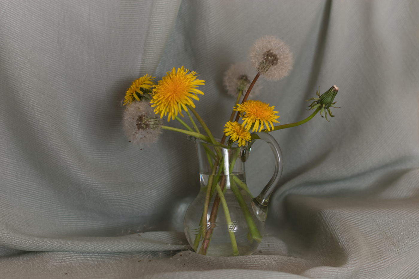 Натюрморт с одуванчиками.