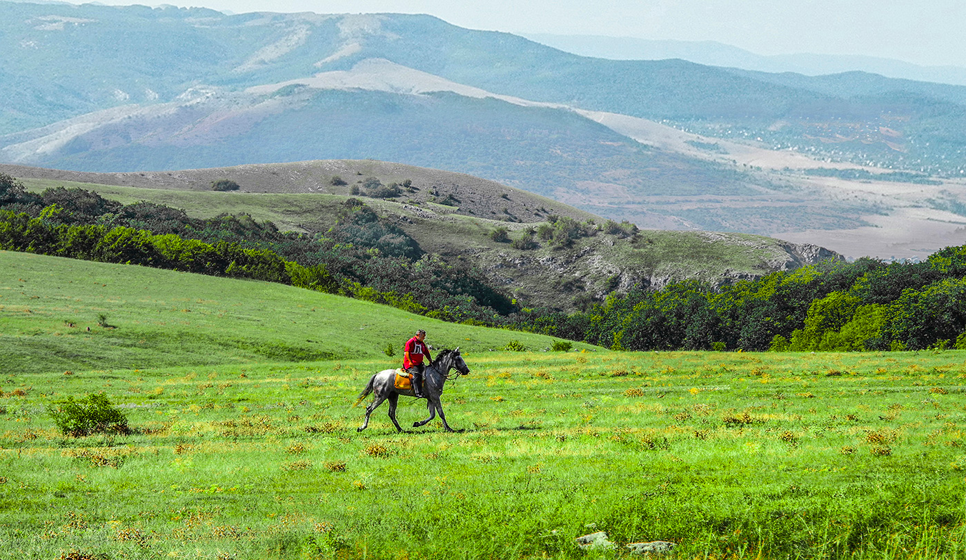 Одинокий конник