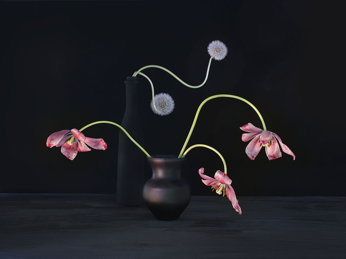 "эксгибиционисты"