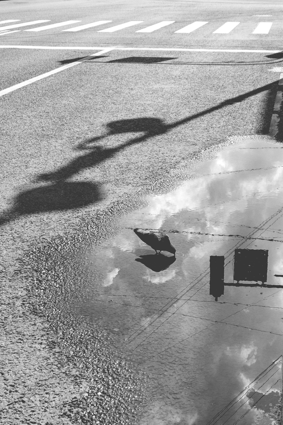 Жизнь вокруг