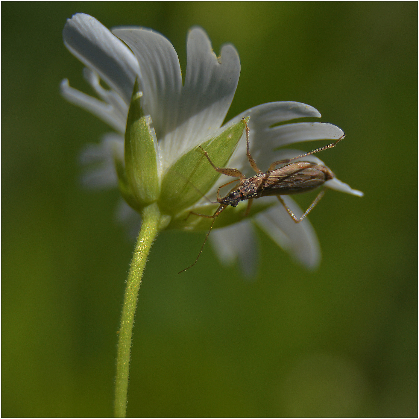 Поиск жертвы.