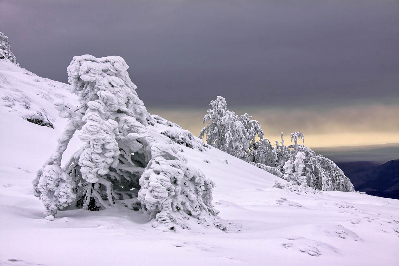 Зима на склонах Чатыр-Дага