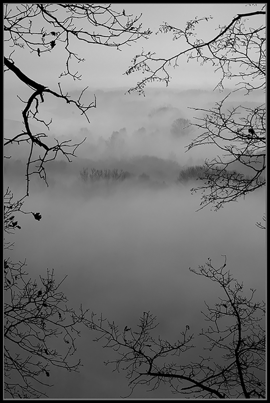 Утро туманное