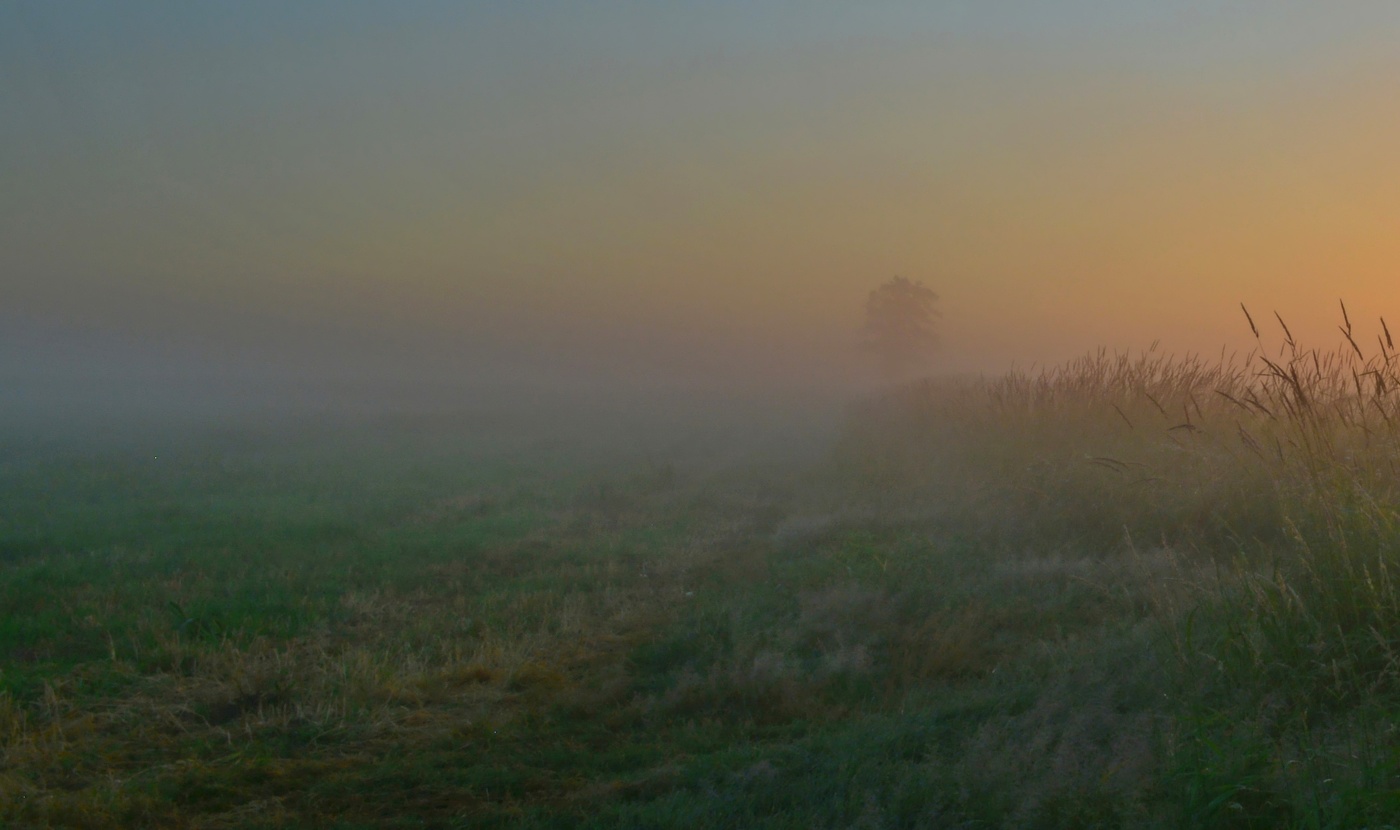 Туманное утро..
