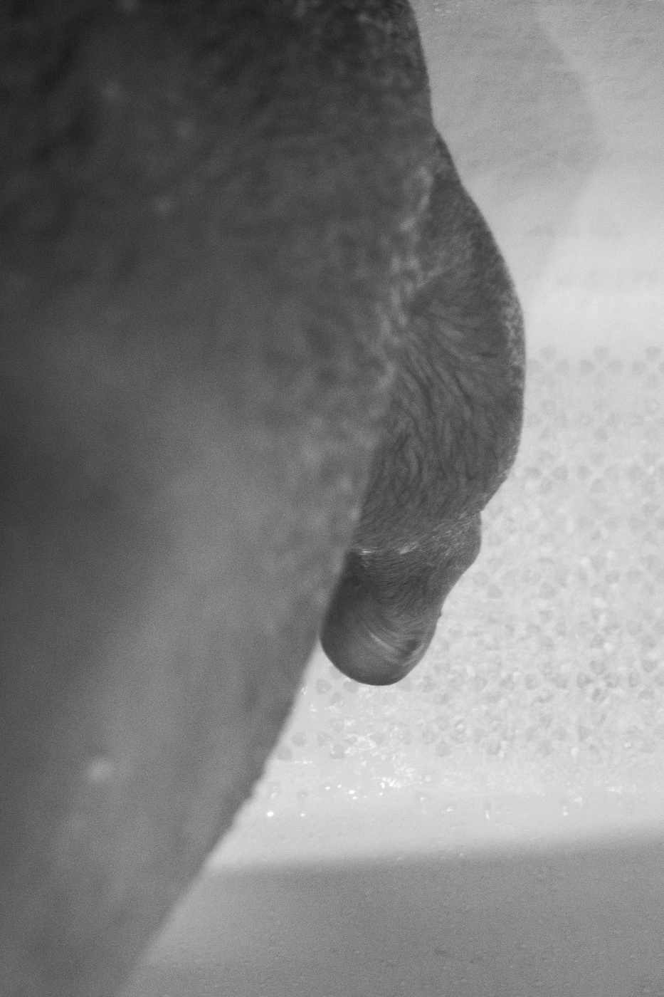 Жизнь вокруг