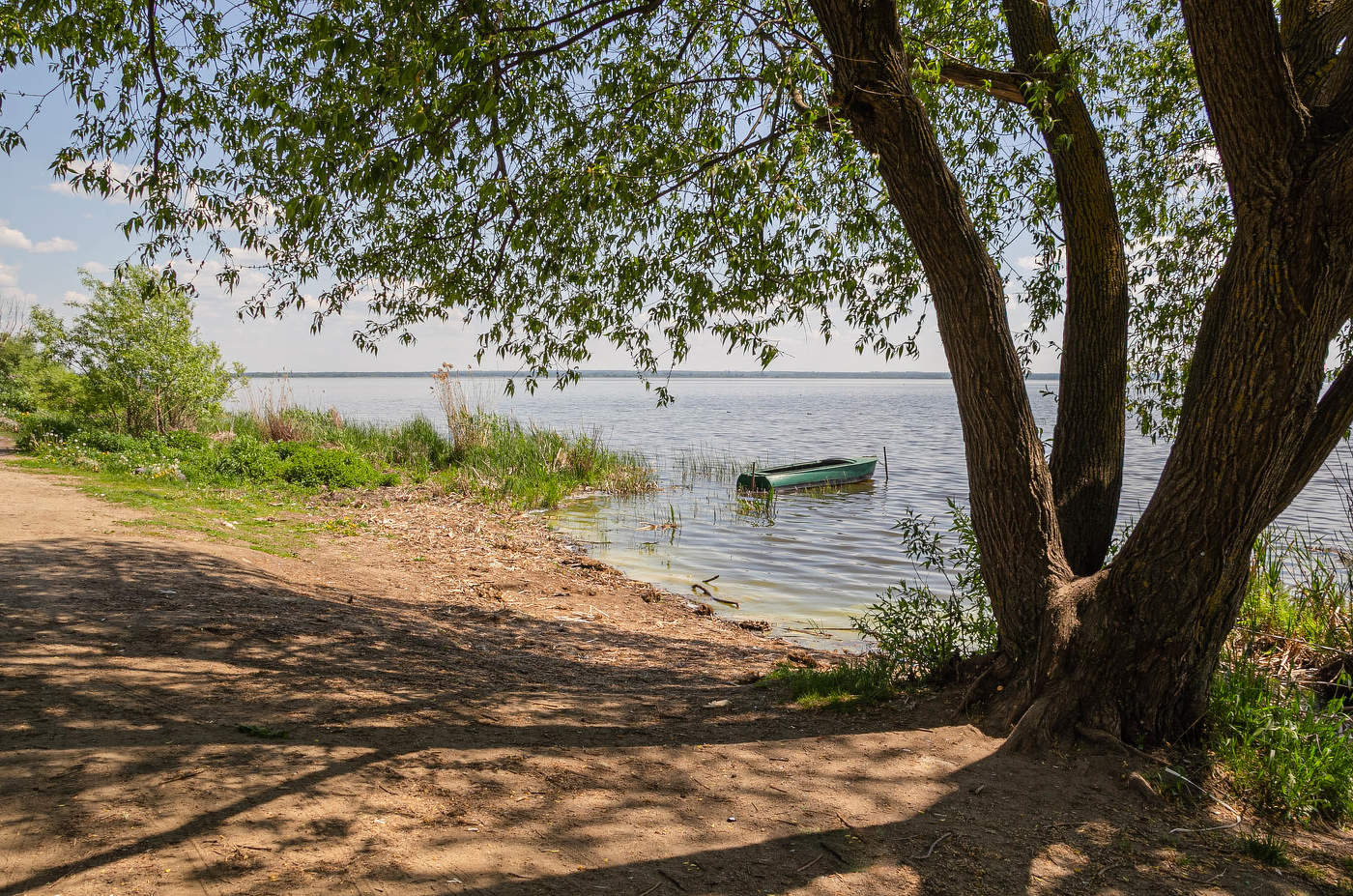 Озеро в мае