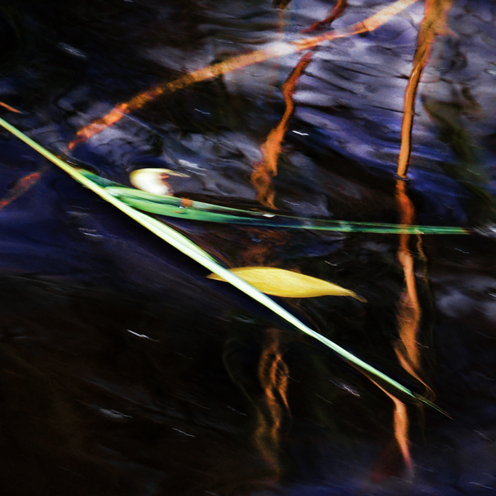 Трава у берега Волги-3