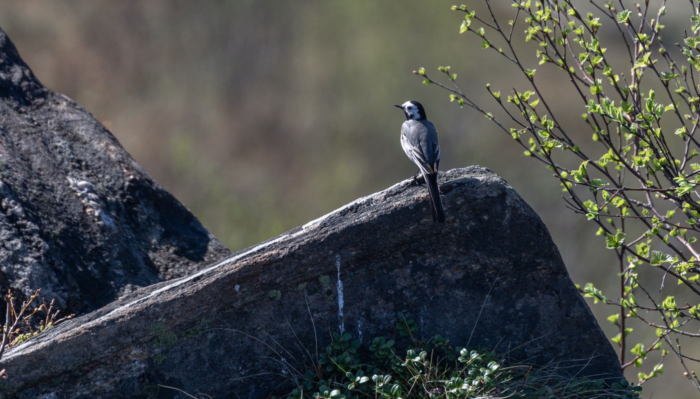 на тёплом солнышке