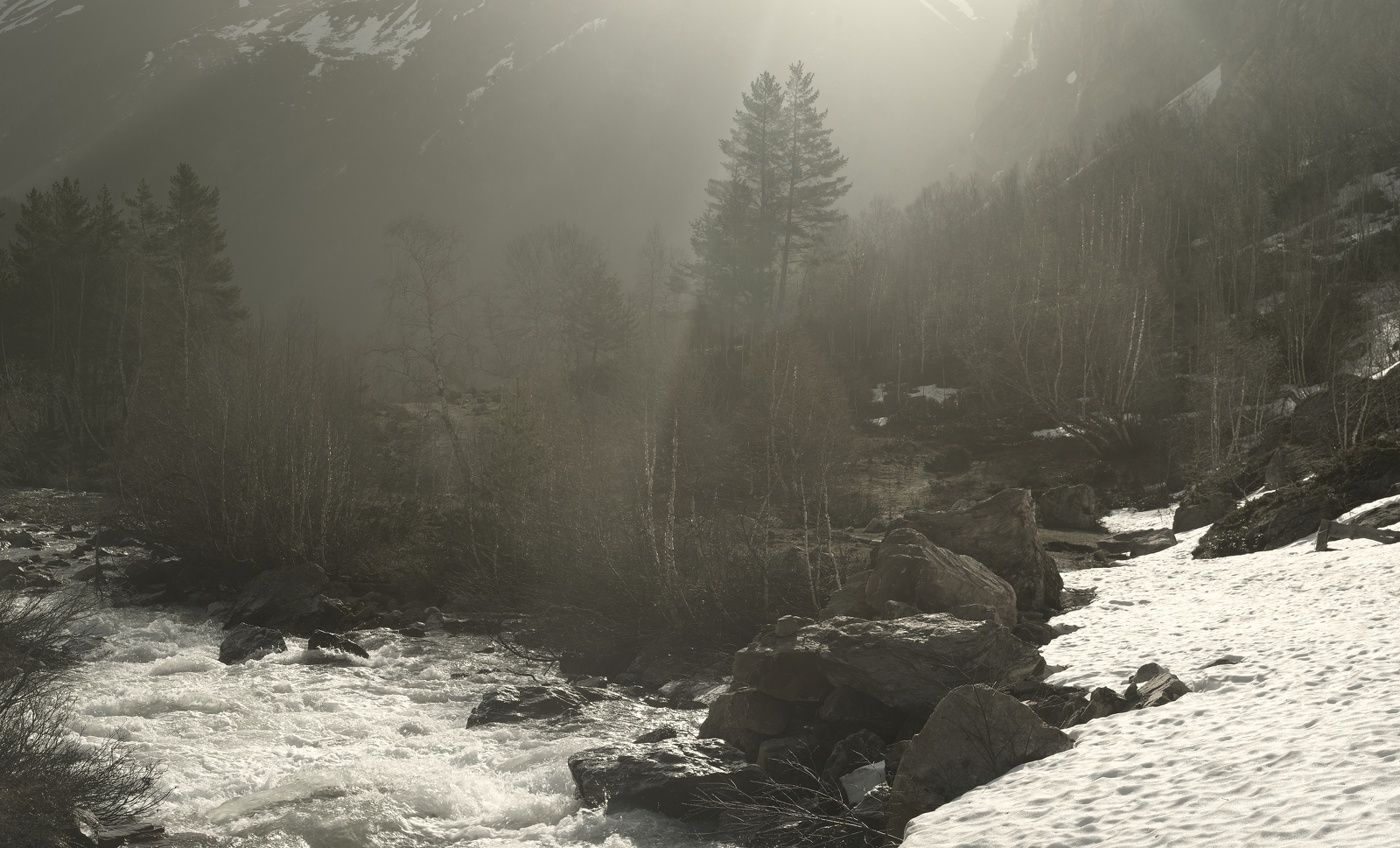 Весеннее утро