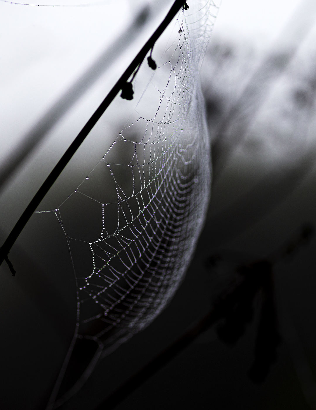 На всех парусах