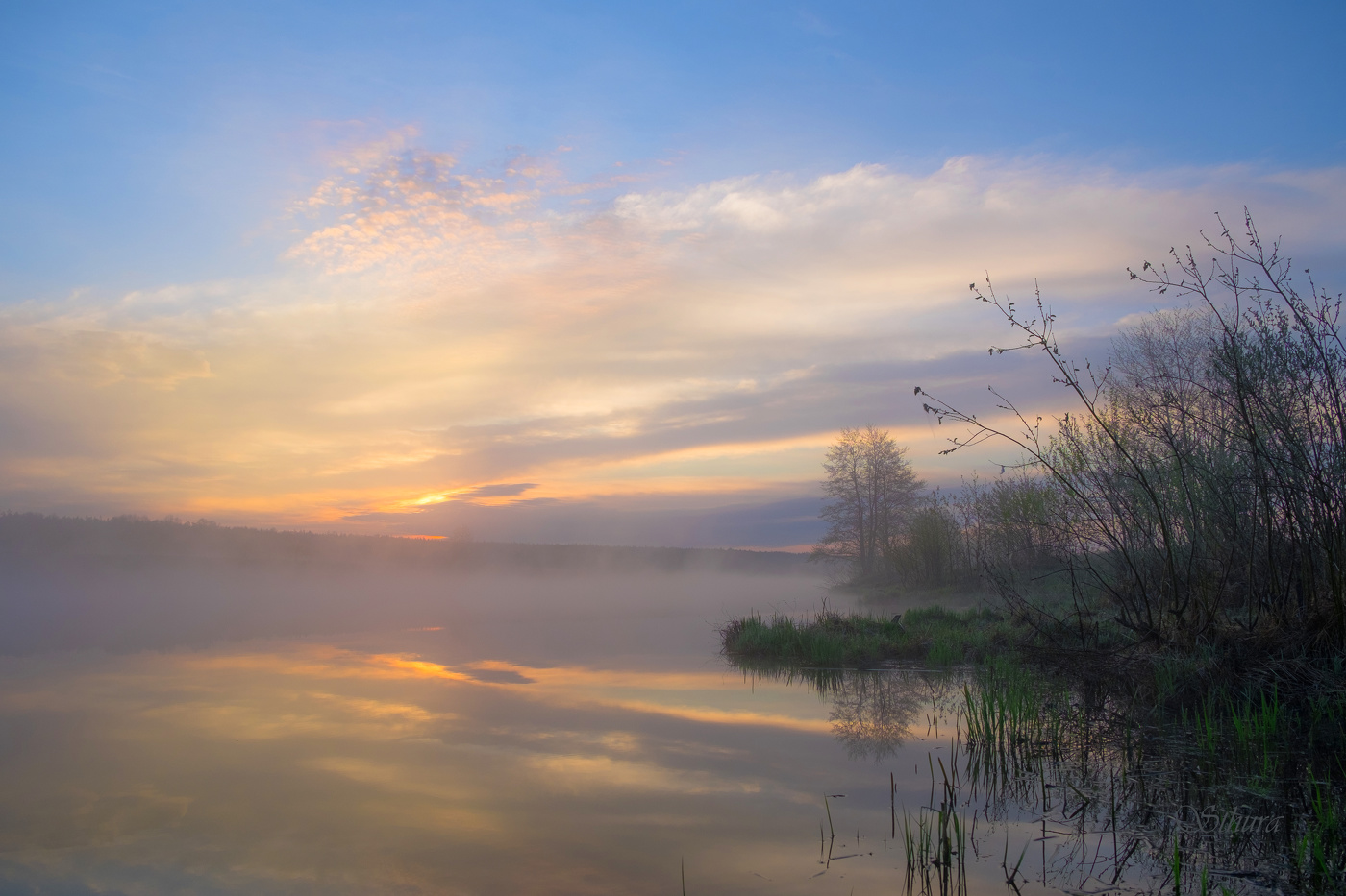 Весна. Рассвет.