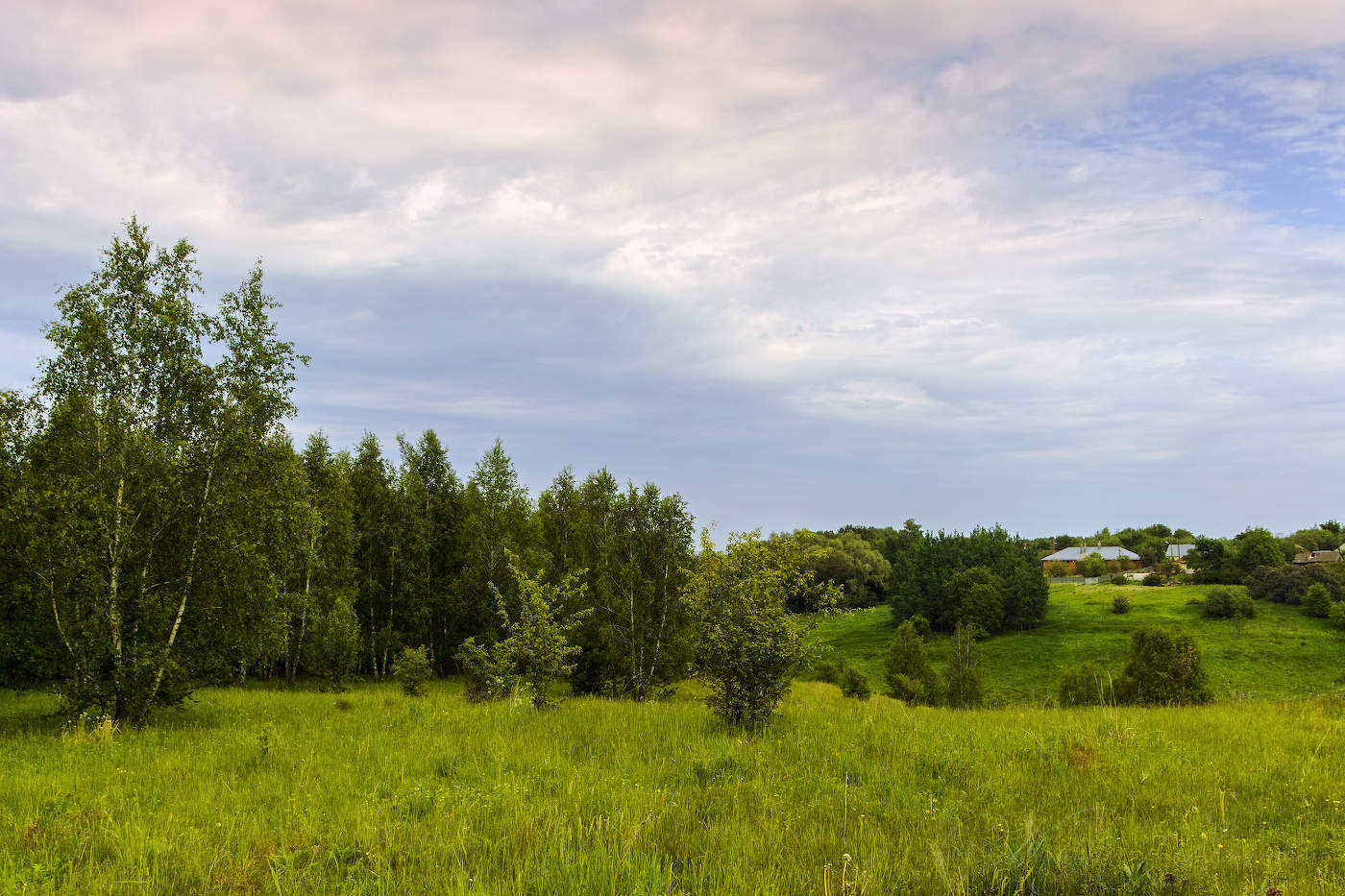 Перед дождём