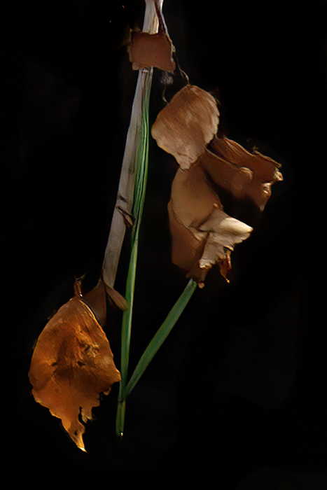 У берега Волги