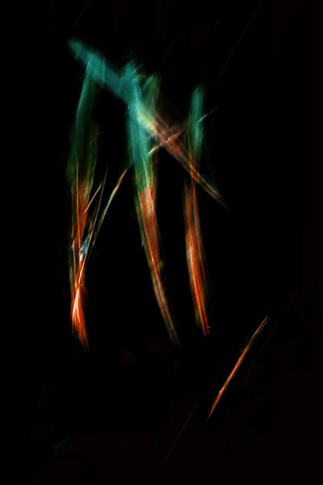 Трава у берега Волги-5