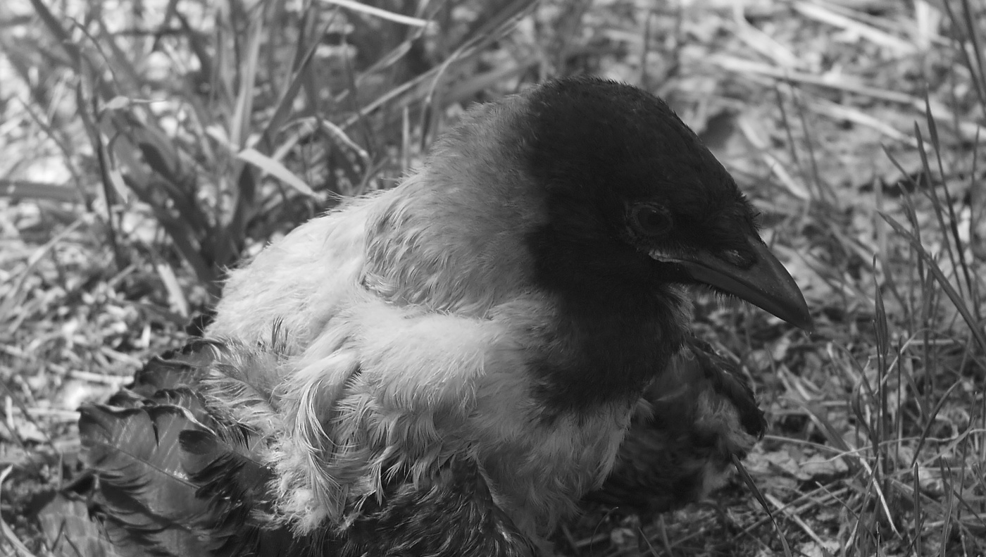 Призадумалась.