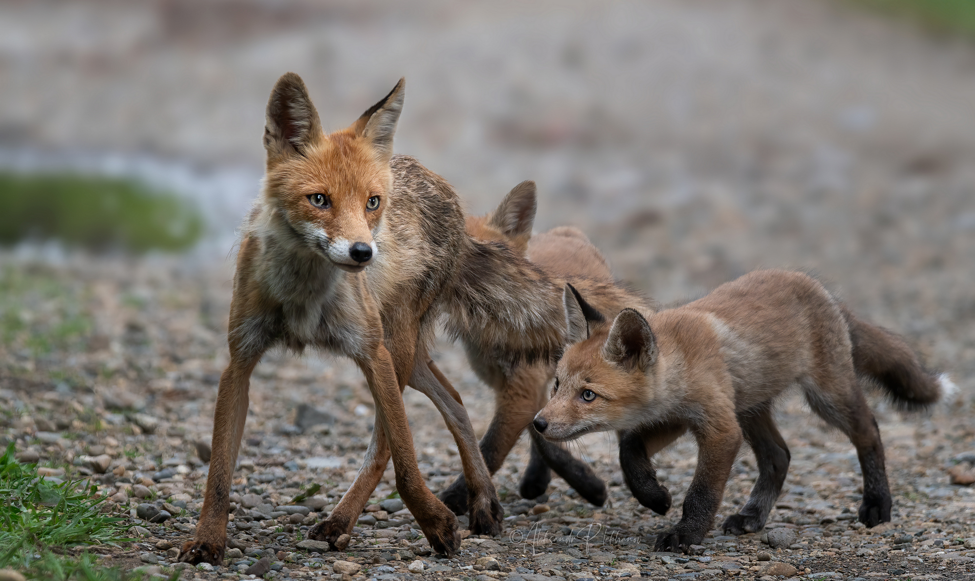 Будь осторожна