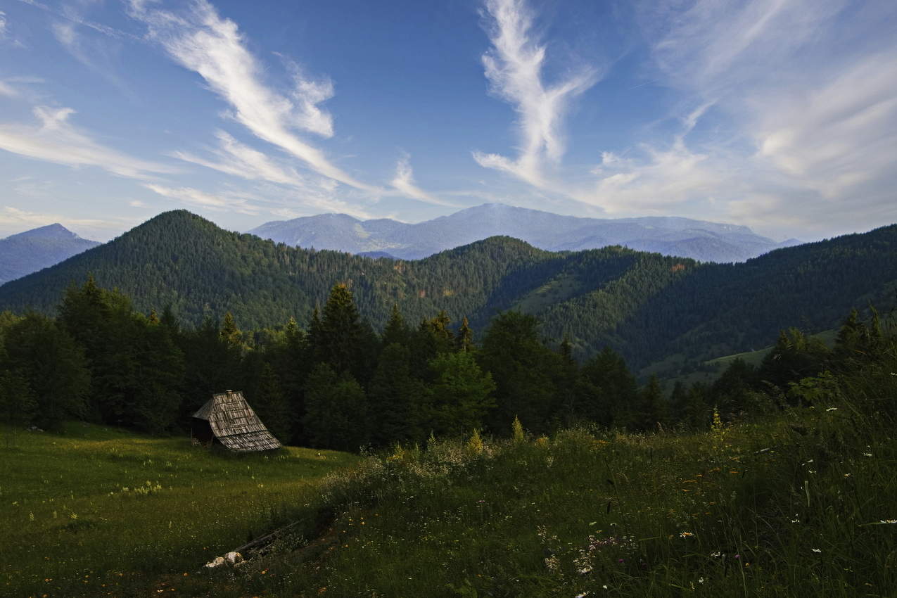 Сербия.Тара