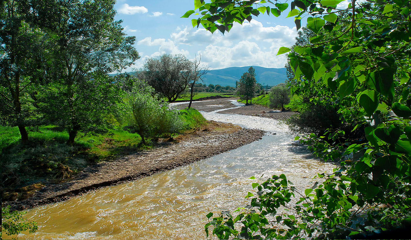 Летнее разноцветье