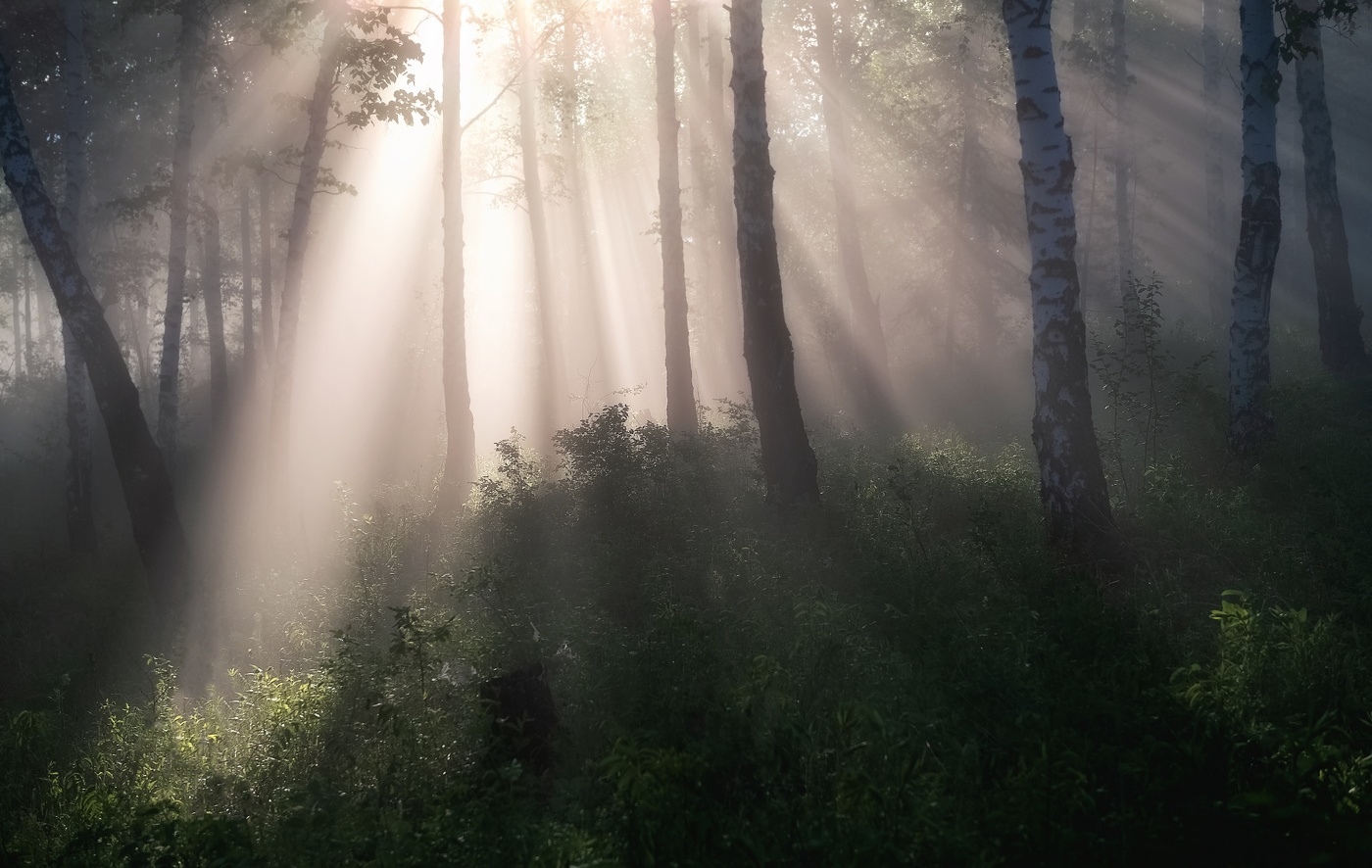 С первыми лучами