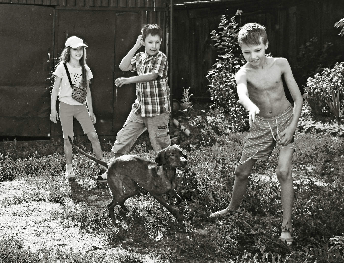 Лето во дворе