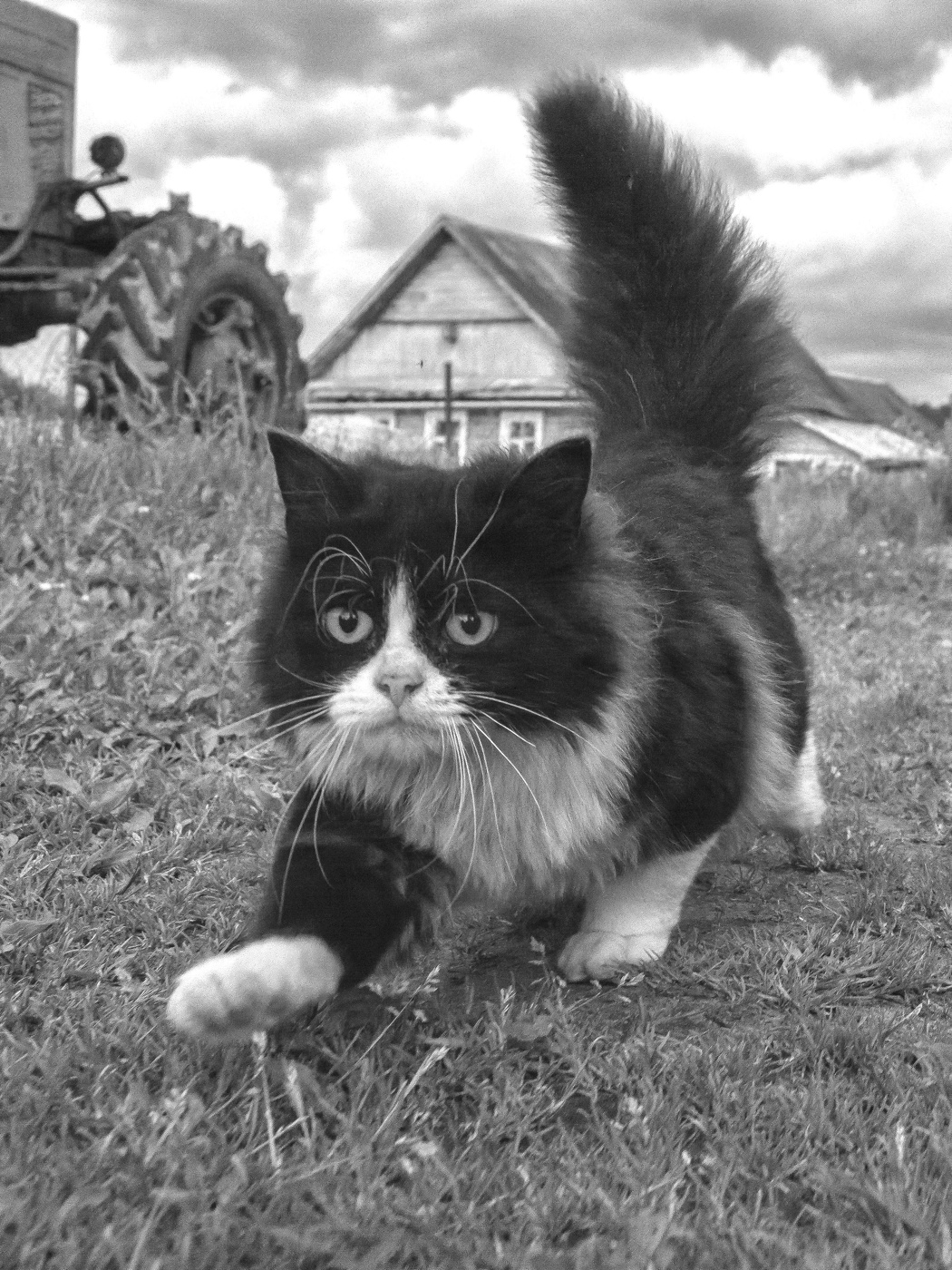 Жизнь вокруг