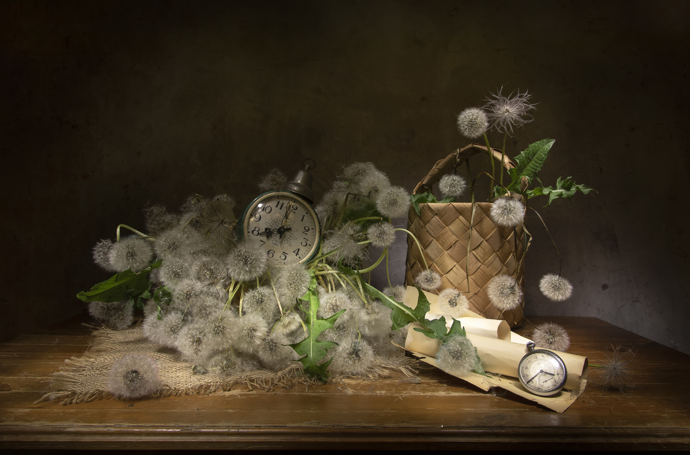 Время пушистиков....